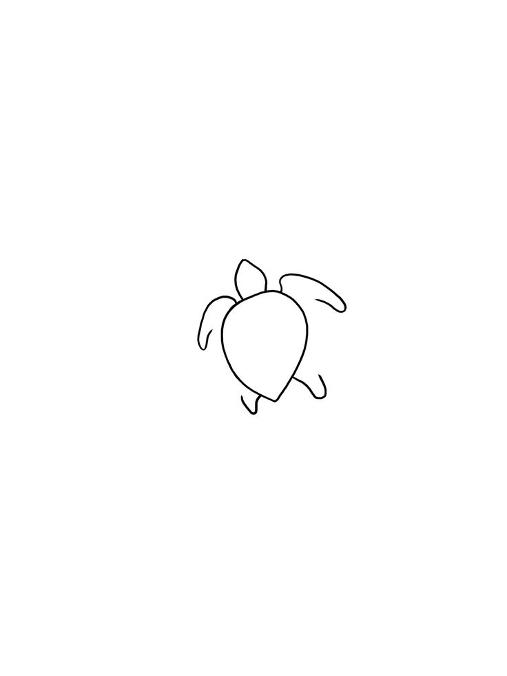 a drawing of a turtle on a white background