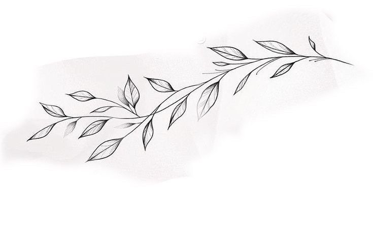 a black and white photo of a branch with leaves on it's side, drawn by hand