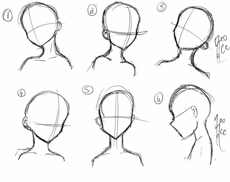 how to draw the head and shoulders in different positions, from top to bottom view