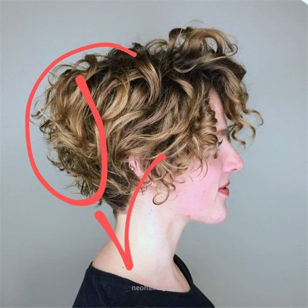 Ponytail Hairstyle Ideas, Fancy Ponytail, Short Curly Bob Hairstyles, Short Curly Hairstyles For Women, Short Wavy Haircuts, Layers Short, Bob Haircut Curly, Ponytail Hairstyle, Curly Hair Photos