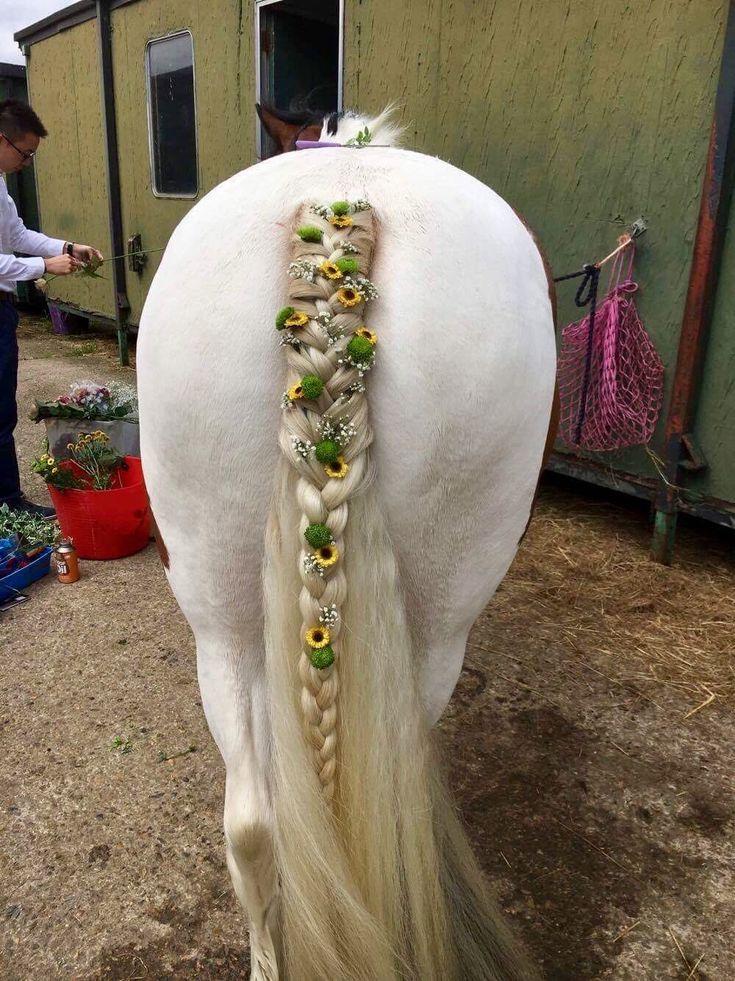 a white horse with long blonde hair and braids on it's back end