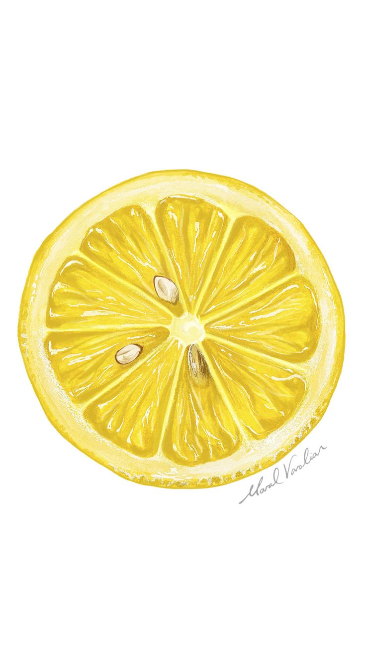 watercolor food illustration of lemon Lemon Water Aesthetic, Freeze Lemons, Lemon Drinks, Lemon Cleanse, Lemon Drawing, Lemon Cookie, Lemon Watercolor, Lemon Bar, Lemon Painting