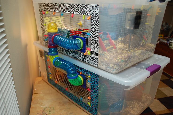 two plastic bins filled with toys on top of a checkered floor