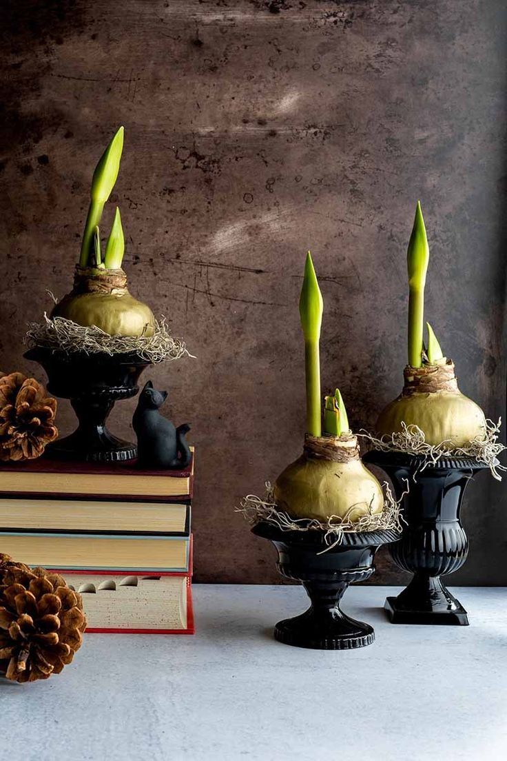 three vases with plants growing out of them sitting on top of a table next to books