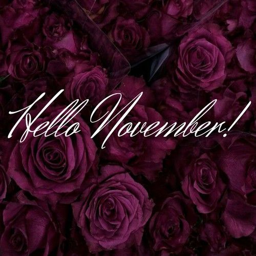 the words hello november are written in white on a purple background with red roses and leaves