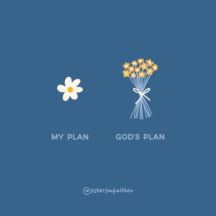 two flowers with the words my plan, god's plan and an image of a daisy