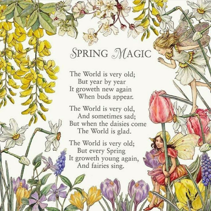 a card with an illustration of a fairy surrounded by flowers and plants, the words spring magic