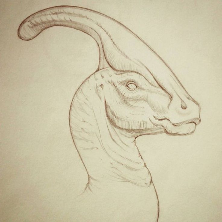 a drawing of a dinosaur's head with long neck and curved tail, viewed from the side