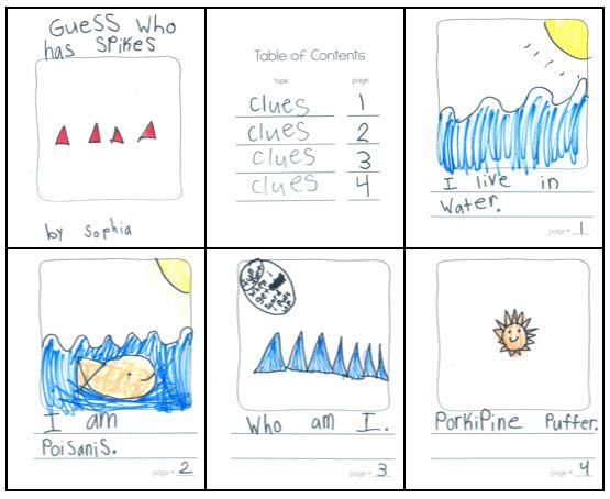 four different types of weather and climate worksheet for kids to learn how to draw