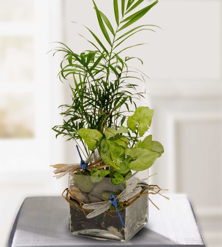 a plant is sitting on top of a table