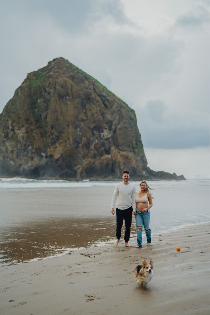 a man and woman are walking on the beach with their dog near an island in the background