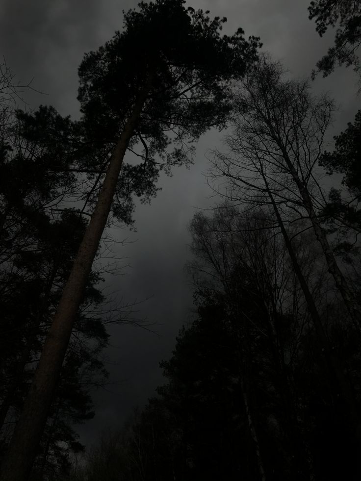 the sky is dark and gloomy with some trees