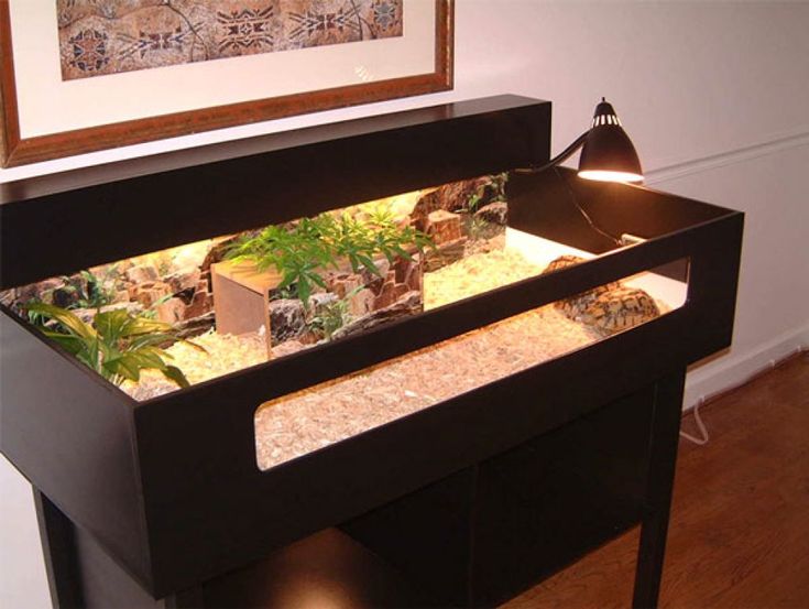 a fish tank with plants and rocks in it on top of a wooden table next to a wall