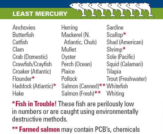 a list of different types of fish in the ocean