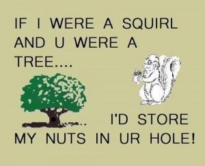 an image of a squirrel and a tree with caption that reads, if i were a squirrel and u were a tree i'd store my nuts in our hole