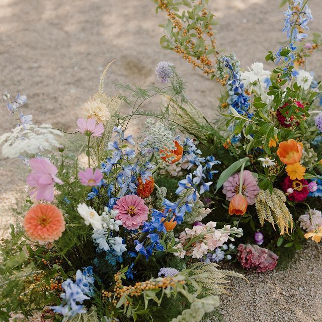 several different types of flowers are arranged in an arrangement on the ground, with sand and gravel behind them