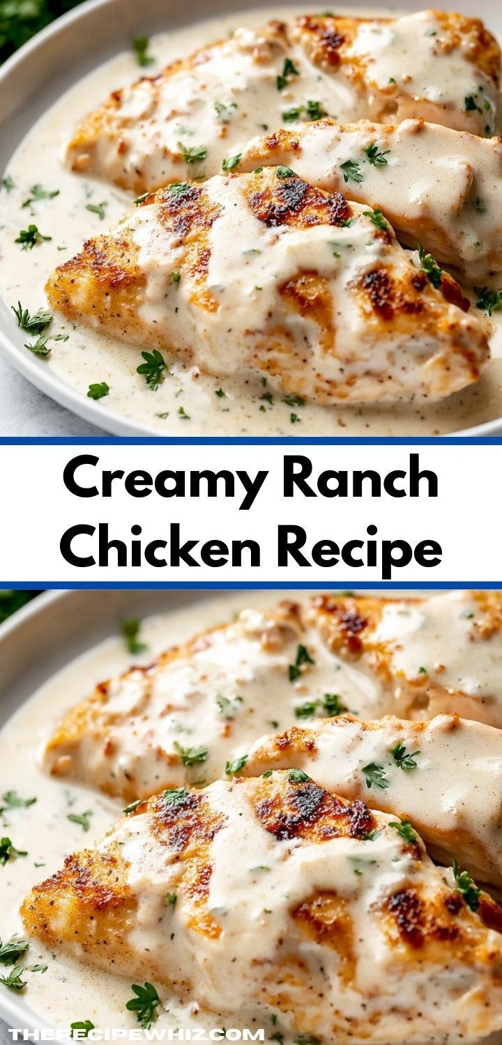 creamy ranch chicken recipe on a white plate