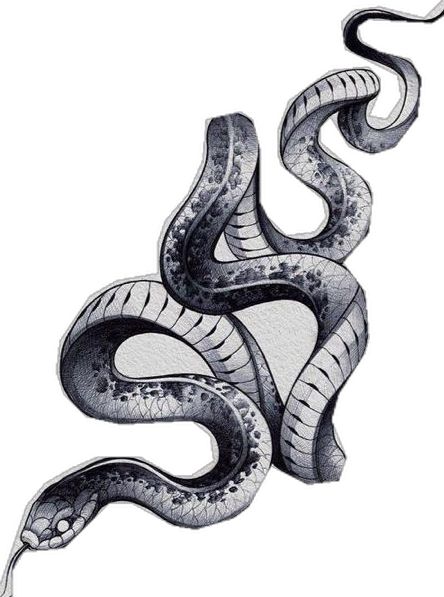 a black and white drawing of a snake