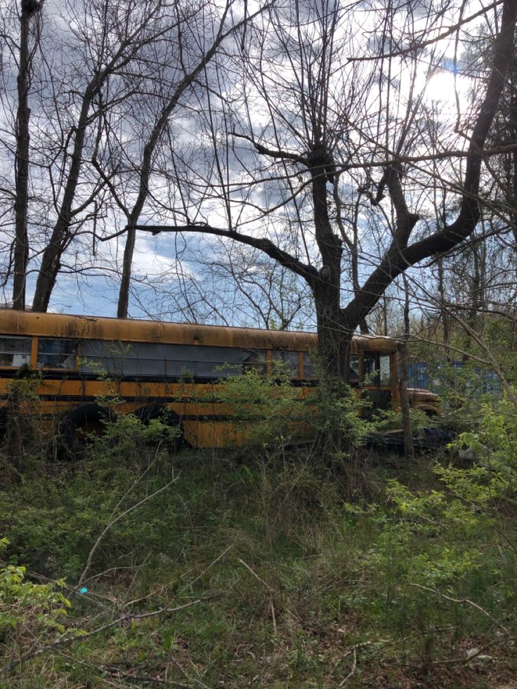 an old abandoned school bus sitting in the woods