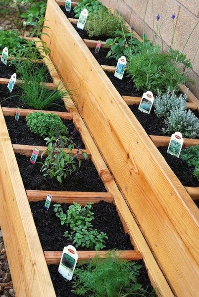 several wooden planters filled with different types of plants and herbs, all lined up in rows