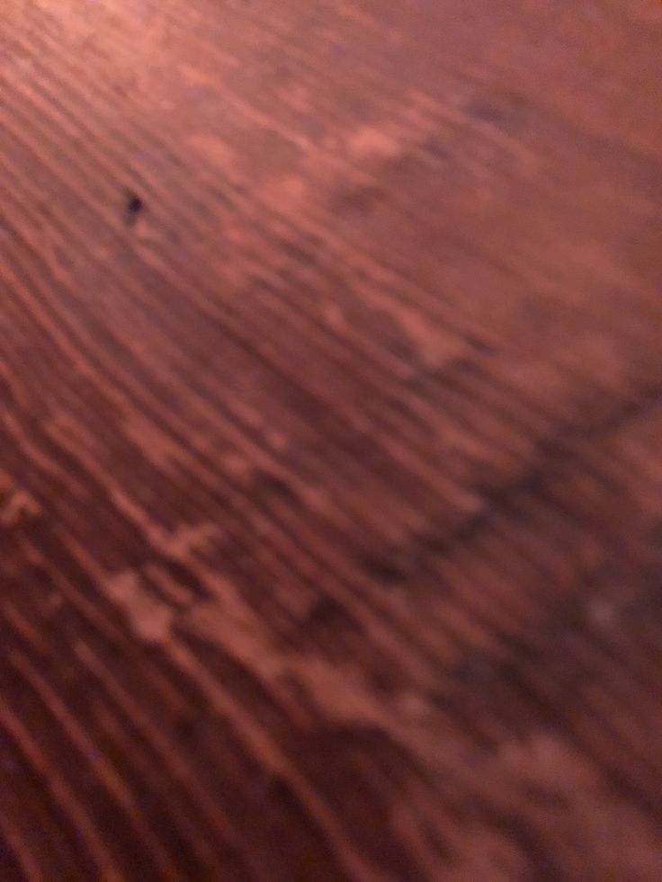 a close up of a wooden table with a small black object on the wood surface