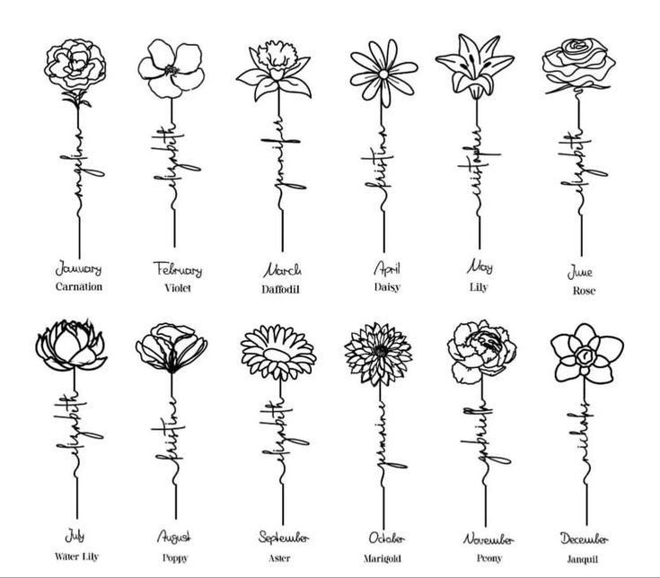 the different types of flowers that are in each flower arrangement, from top to bottom