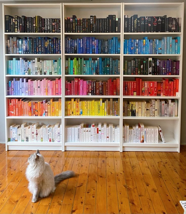 a cat sitting on the floor in front of bookshelves