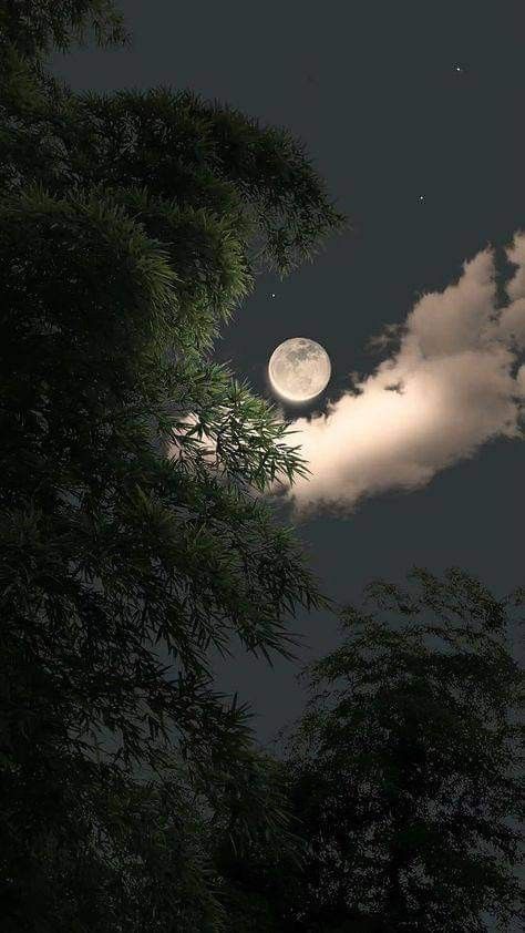 the moon is shining brightly in the night sky above some trees and clouds, with only one cloud visible