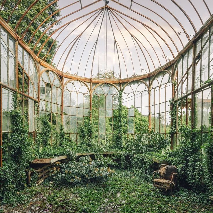 an abandoned greenhouse with lots of plants growing inside