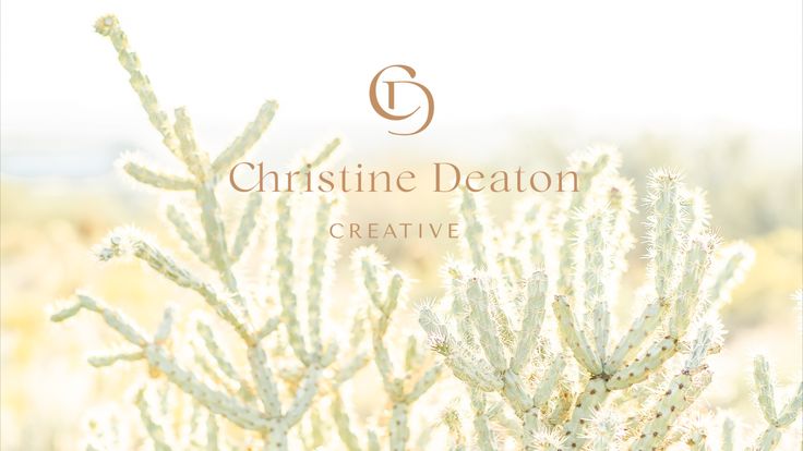 Christine Deaton Creative | Scottsdale Portrait Photographer