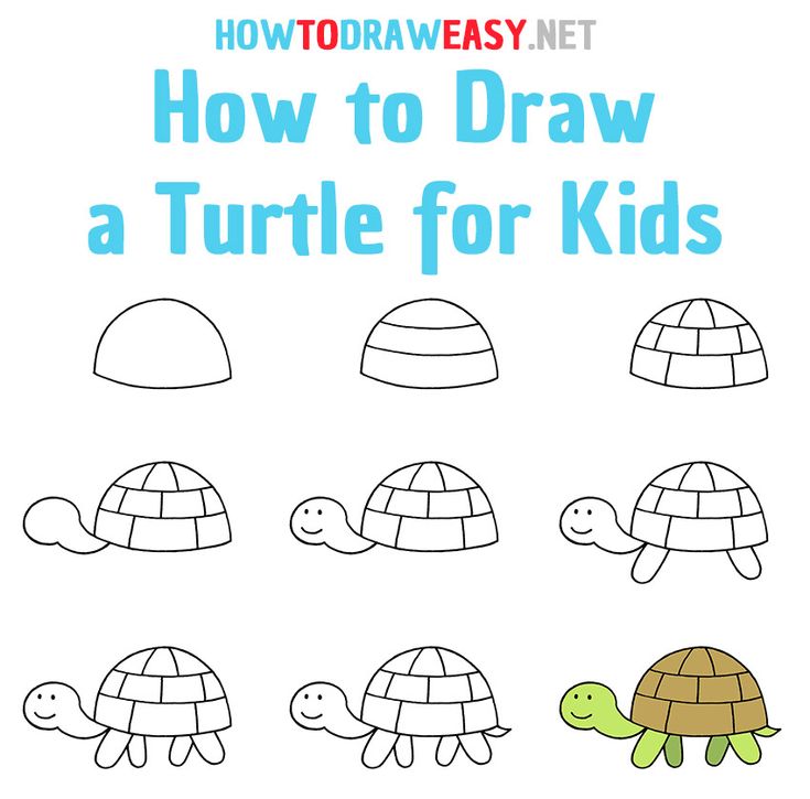 how to draw a turtle for kids with the title, how to draw a turtle for kids