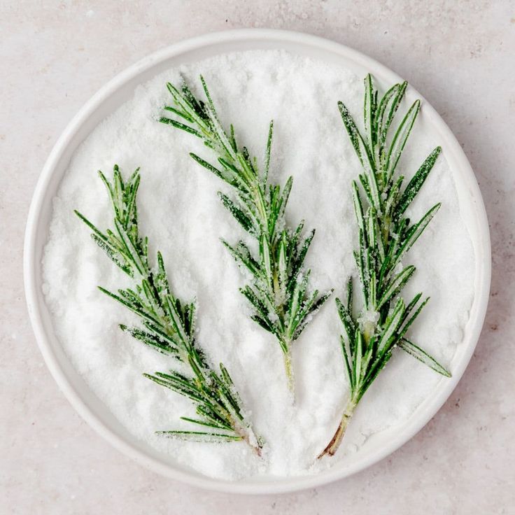 some green sprigs are in a white bowl on a marble counter top with powdered sugar