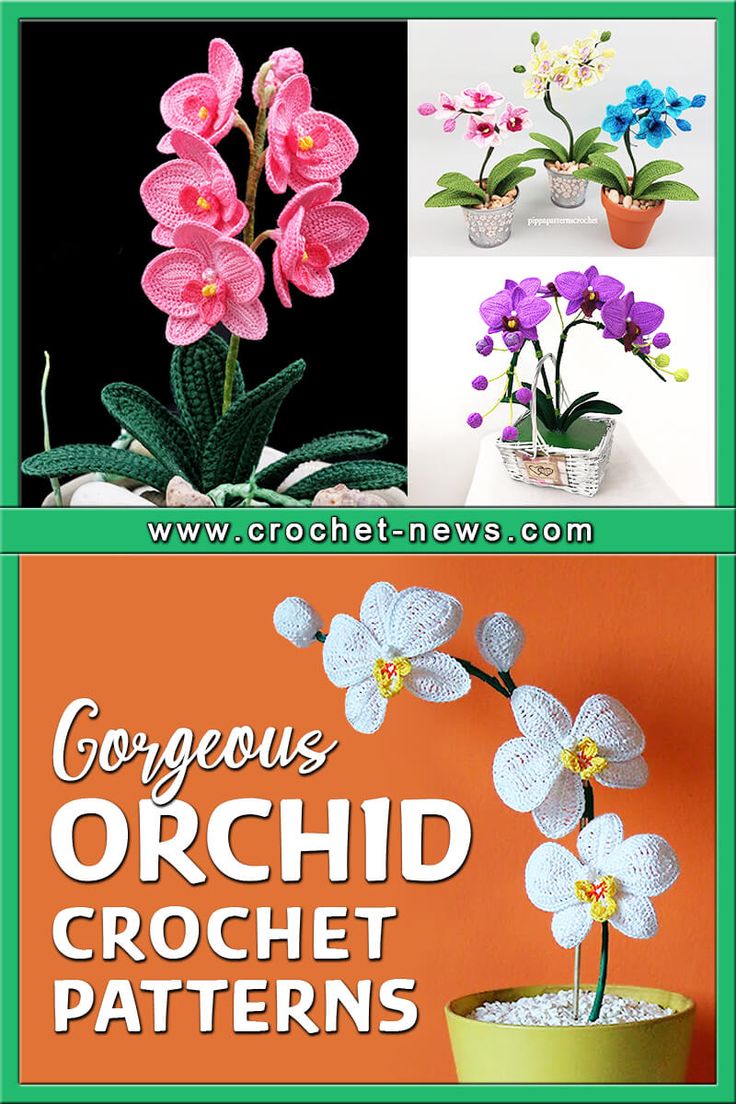 crochet patterns for different types of flowers in pots and vases with text that reads, gorgeous orchid crochet patterns