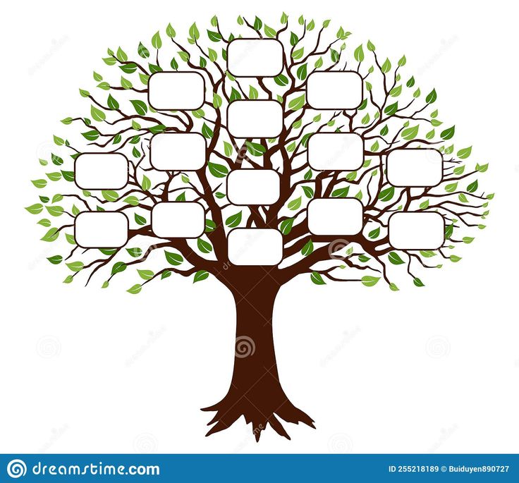 a family tree with frames on it