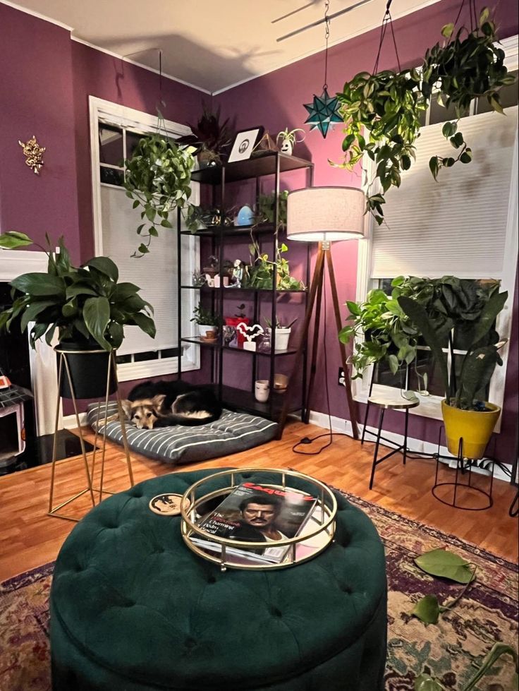 a living room filled with lots of plants and furniture