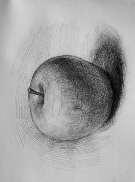 a pencil drawing of an apple