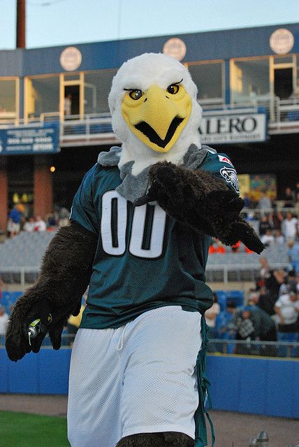 an eagle mascot walking on the field at a football game