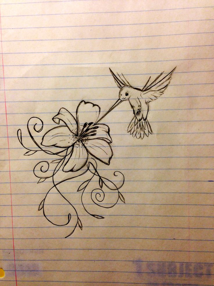 a drawing of a hummingbird and flower on lined paper