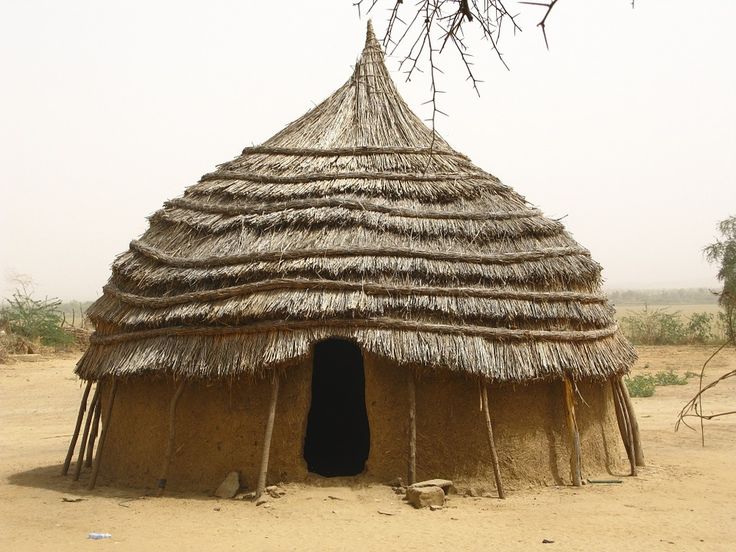 a hut with thatched roof in the middle of dirt field next to dry trees