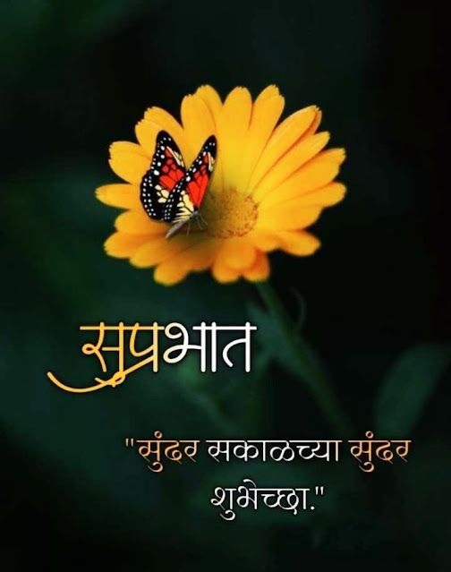 a butterfly sitting on top of a yellow flower with the words written in two languages