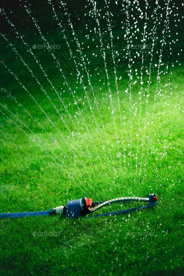 a sprinkler is spraying water on the grass