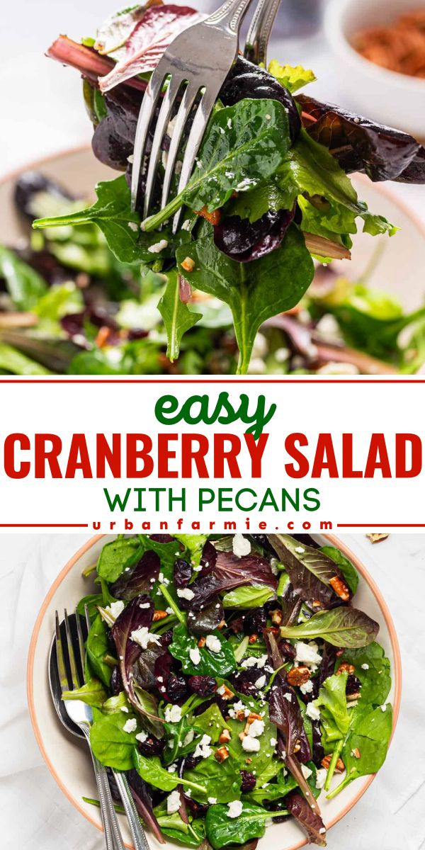 This easy cranberry salad with pecans is a protein-packed delight that is perfect as a side salad, light lunch, or to add to your holiday table. With tangy goat cheese, sweet cranberries, crunchy pecans, and a zesty dressing, this flavorful salad is a crowd-pleaser that's ready in just 10 minutes. Cranberry And Walnut Salad, Spinach Cranberry Pecan Salad, Cranberry Walnut Feta Salad, Salad With Pecans And Cranberries, Cranberry Pecan Salad With Feta Cheese, Salad With Craisins Recipes, Salad Recipes With Cranberries, Salads With Cranberries, Easy Cranberry Salad