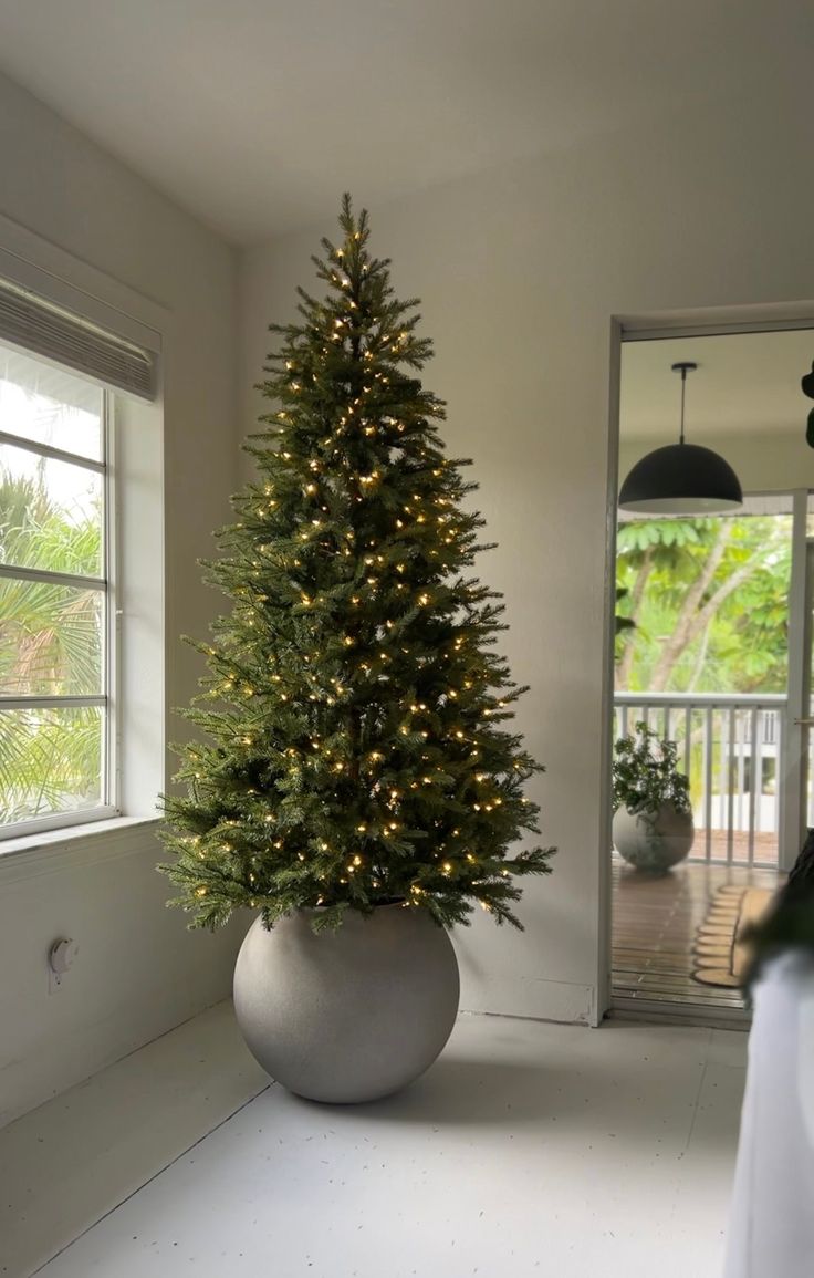 a small christmas tree in a large pot on the floor next to a door way