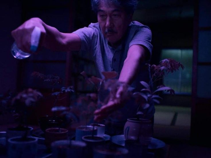 a man in grey shirt pouring water on potted plants with purple light behind him