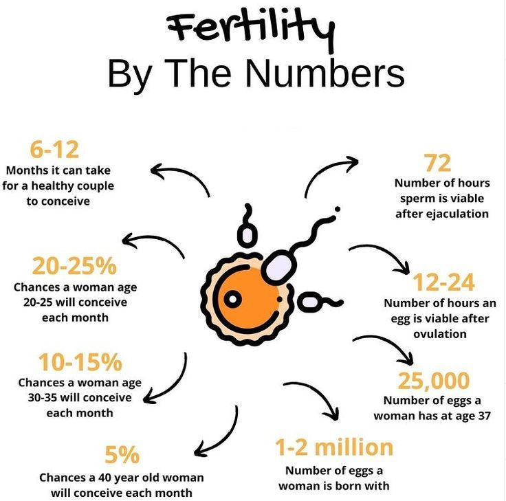 Conceive Month, Ttc Trying To Conceive, Fertility Vitamins, Pregnant Tips, Help Getting Pregnant, Ovulation Cycle, Getting Pregnant Tips, Fertility Nutrition, Pregnancy Facts