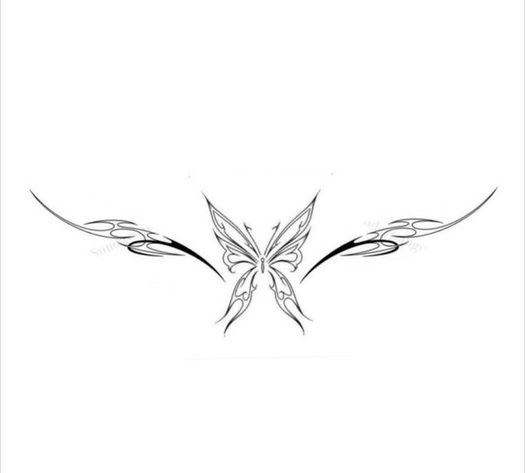 a black and white drawing of a butterfly with wings on it's back side