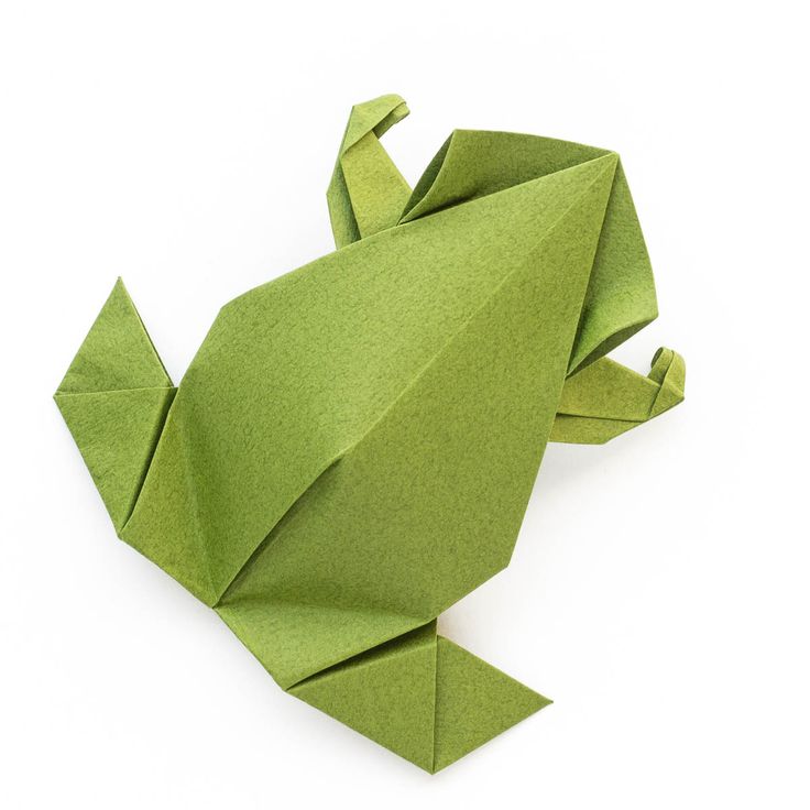 an origami frog on white background