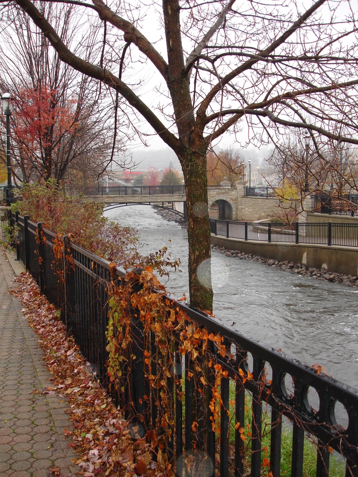 a river running through a park next to a fence with trees in the foreground