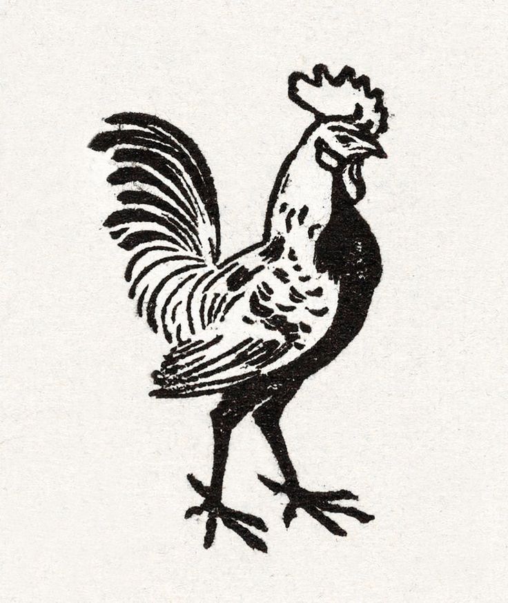 a black and white drawing of a rooster