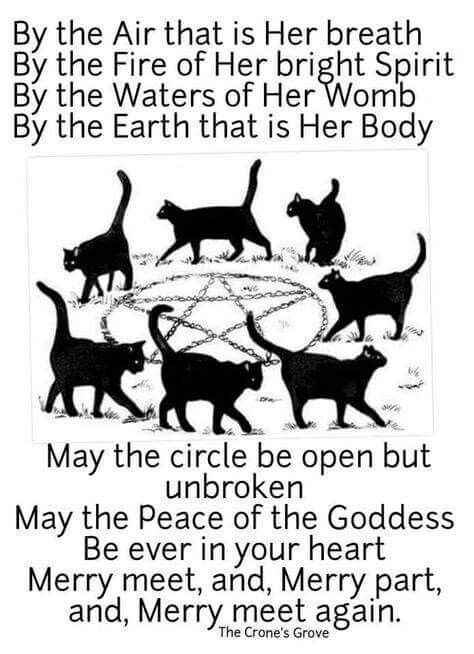 a poem written in black and white with cats